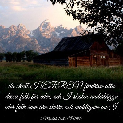 Picture 03 - 5 Mosebok 11:23 SV1917 - då skall HERREN fördriva alla dessa folk för - Bible Verse Picture