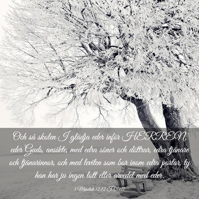 Picture 03 - 5 Mosebok 12:12 SV1917 - Och så skolen I glädja eder inför HERREN, eder - Bible Verse Picture