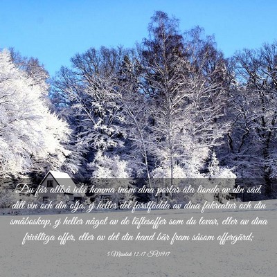 Picture 03 - 5 Mosebok 12:17 SV1917 - Du får alltså icke hemma inom dina portar äta - Bible Verse Picture
