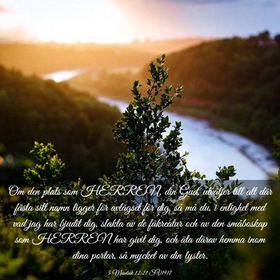 Picture 03 - 5 Mosebok 12:21 SV1917 - Om den plats som HERREN, din Gud, utväljer till - Bible Verse Picture