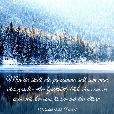 Picture 03 - 5 Mosebok 12:22 SV1917 - Men du skall äta på samma sätt som man äter - Bible Verse Picture