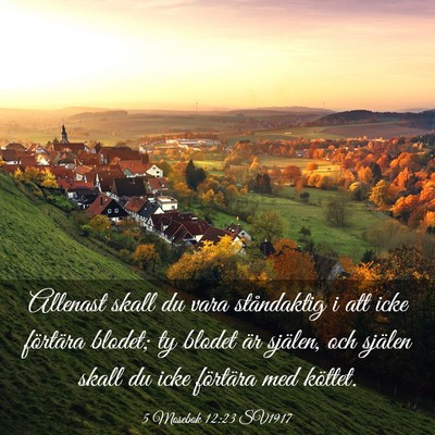 Picture 03 - 5 Mosebok 12:23 SV1917 - Allenast skall du vara ståndaktig i att icke - Bible Verse Picture