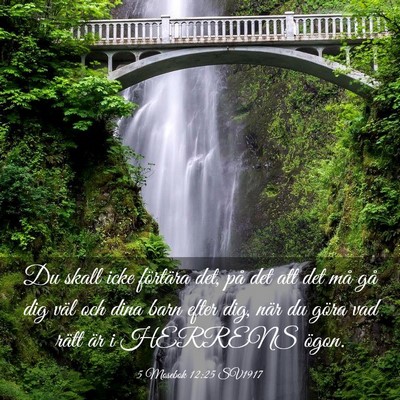 Picture 03 - 5 Mosebok 12:25 SV1917 - Du skall icke förtära det, på det att det må - Bible Verse Picture