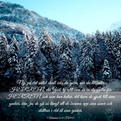 Picture 03 - 5 Mosebok 12:31 SV1917 - Nej, på det sättet skall icke du göra, när du - Bible Verse Picture