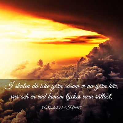 Picture 03 - 5 Mosebok 12:8 SV1917 - I skolen då icke göra såsom vi nu göra här, - Bible Verse Picture