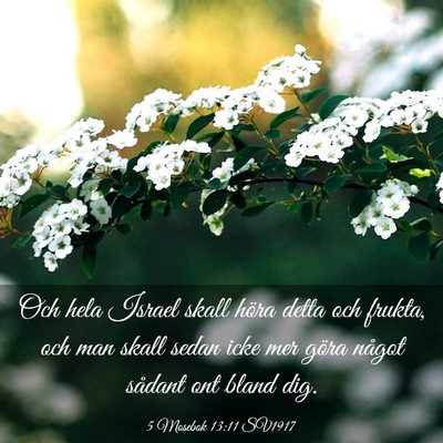 Picture 03 - 5 Mosebok 13:11 SV1917 - Och hela Israel skall höra detta och frukta, och - Bible Verse Picture