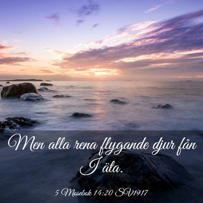 Picture 03 - 5 Mosebok 14:20 SV1917 - Men alla rena flygande djur fån I - Bible Verse Picture