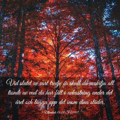 Picture 03 - 5 Mosebok 14:28 SV1917 - Vid slutet av vart tredje år skall du avskilja - Bible Verse Picture