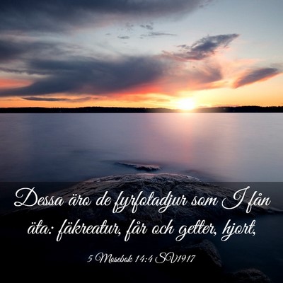 Picture 03 - 5 Mosebok 14:4 SV1917 - Dessa äro de fyrfotadjur som I fån äta: - Bible Verse Picture