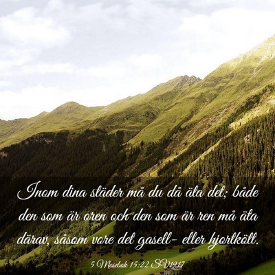Picture 03 - 5 Mosebok 15:22 SV1917 - Inom dina städer må du då äta det; både den - Bible Verse Picture