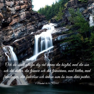 Picture 03 - 5 Mosebok 16:14 SV1917 - Och du skall glädja dig vid denna din högtid, - Bible Verse Picture