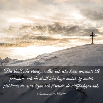 Picture 03 - 5 Mosebok 16:19 SV1917 - Du skall icke vränga rätten och icke hava - Bible Verse Picture