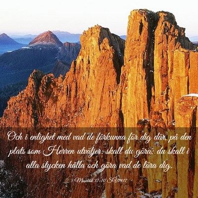 Picture 03 - 5 Mosebok 17:10 SV1917 - Och i enlighet med vad de förkunna för dig - Bible Verse Picture