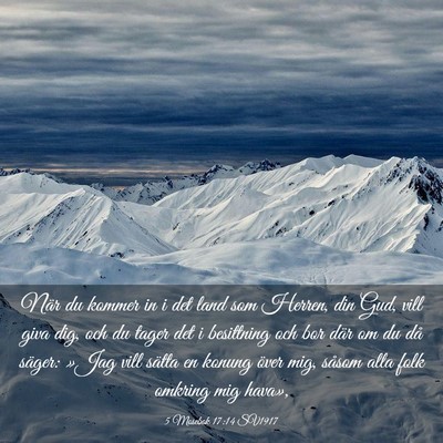 Picture 03 - 5 Mosebok 17:14 SV1917 - När du kommer in i det land som Herren, din Gud, - Bible Verse Picture