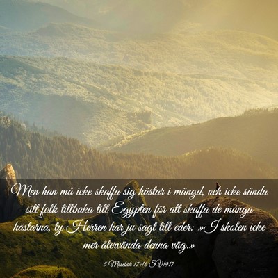 Picture 03 - 5 Mosebok 17:16 SV1917 - Men han må icke skaffa sig hästar i mängd, och - Bible Verse Picture