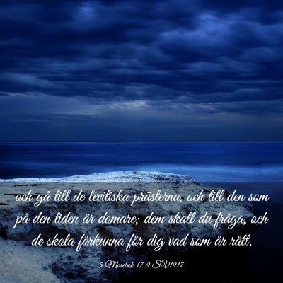Picture 03 - 5 Mosebok 17:9 SV1917 - och gå till de levitiska prästerna, och till - Bible Verse Picture