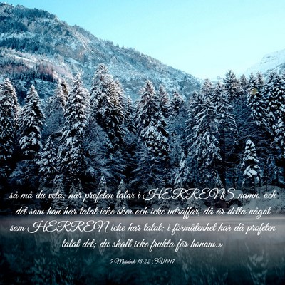 Picture 03 - 5 Mosebok 18:22 SV1917 - så må du veta: när profeten talar i HERRENS - Bible Verse Picture