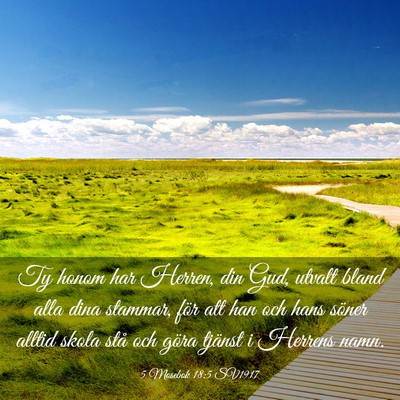 Picture 03 - 5 Mosebok 18:5 SV1917 - Ty honom har Herren, din Gud, utvalt bland alla - Bible Verse Picture