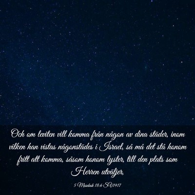 Picture 03 - 5 Mosebok 18:6 SV1917 - Och om leviten vill komma från någon av dina - Bible Verse Picture
