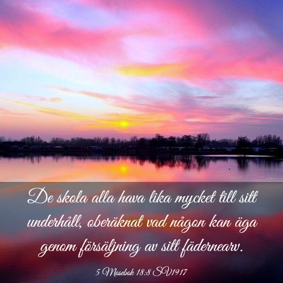 Picture 03 - 5 Mosebok 18:8 SV1917 - De skola alla hava lika mycket till sitt - Bible Verse Picture
