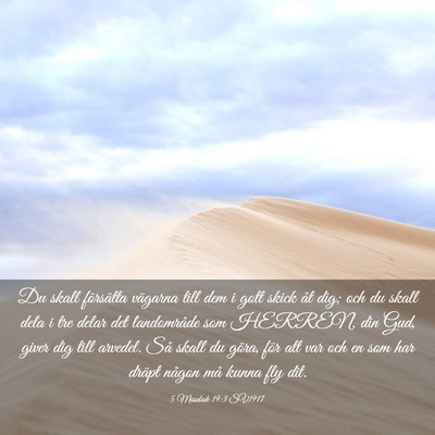 Picture 03 - 5 Mosebok 19:3 SV1917 - Du skall försätta vägarna till dem i gott - Bible Verse Picture