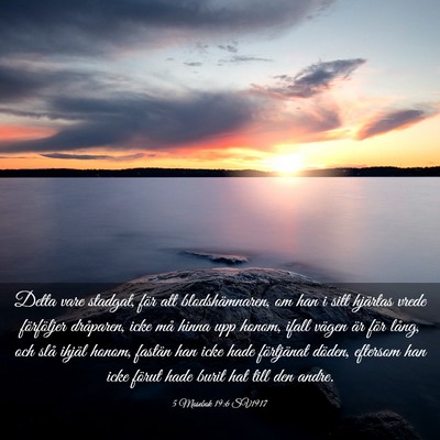 Picture 03 - 5 Mosebok 19:6 SV1917 - Detta vare stadgat, för att blodshämnaren, om - Bible Verse Picture