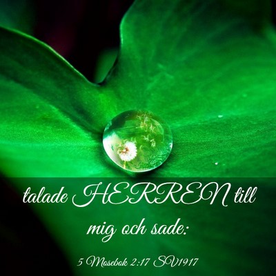Picture 03 - 5 Mosebok 2:17 SV1917 - talade HERREN till mig och - Bible Verse Picture