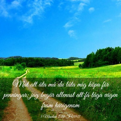 Picture 03 - 5 Mosebok 2:28 SV1917 - Mat att äta må du låta mig köpa för - Bible Verse Picture