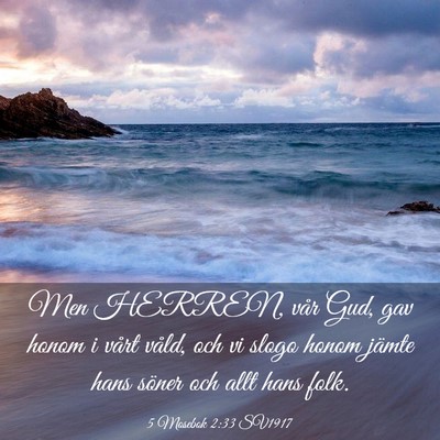 Picture 03 - 5 Mosebok 2:33 SV1917 - Men HERREN, vår Gud, gav honom i vårt våld, - Bible Verse Picture