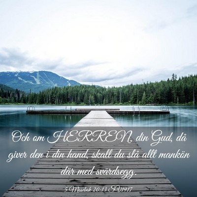 Picture 03 - 5 Mosebok 20:13 SV1917 - Och om HERREN, din Gud, då giver den i din hand, - Bible Verse Picture