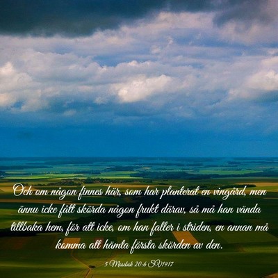 Picture 03 - 5 Mosebok 20:6 SV1917 - Och om någon finnes här, som har planterat en - Bible Verse Picture