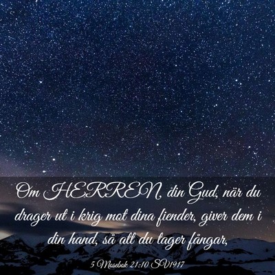 Picture 03 - 5 Mosebok 21:10 SV1917 - Om HERREN, din Gud, när du drager ut i krig mot - Bible Verse Picture