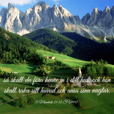 Picture 03 - 5 Mosebok 21:12 SV1917 - så skall du föra henne in i ditt hus, och hon - Bible Verse Picture