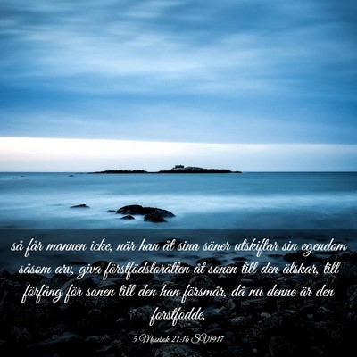 Picture 03 - 5 Mosebok 21:16 SV1917 - så får mannen icke, när han åt sina söner - Bible Verse Picture