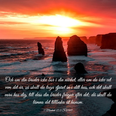 Picture 03 - 5 Mosebok 22:2 SV1917 - Och om din broder icke bor i din närhet, eller - Bible Verse Picture