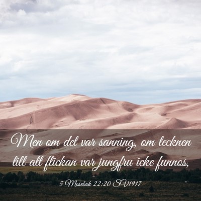Picture 03 - 5 Mosebok 22:20 SV1917 - Men om det var sanning, om tecknen till att - Bible Verse Picture