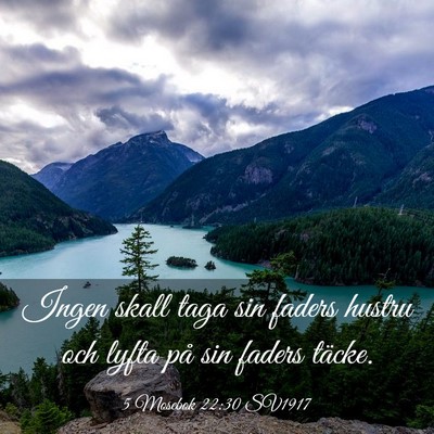 Picture 03 - 5 Mosebok 22:30 SV1917 - Ingen skall taga sin faders hustru och lyfta på - Bible Verse Picture