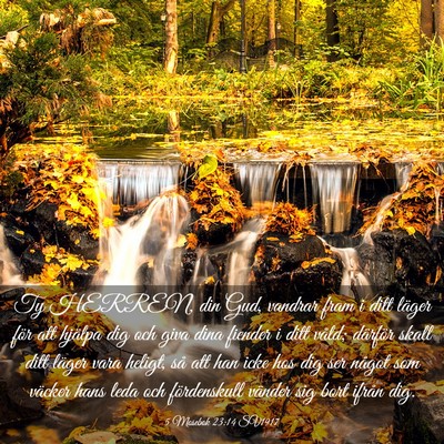 Picture 03 - 5 Mosebok 23:14 SV1917 - Ty HERREN, din Gud, vandrar fram i ditt läger - Bible Verse Picture