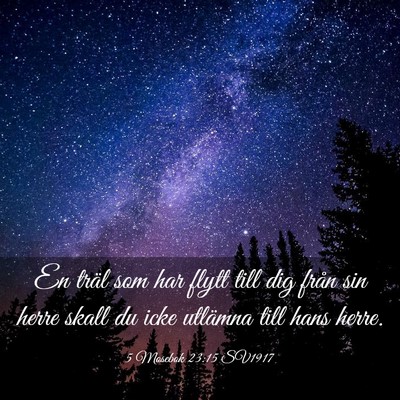 Picture 03 - 5 Mosebok 23:15 SV1917 - En träl som har flytt till dig från sin herre - Bible Verse Picture