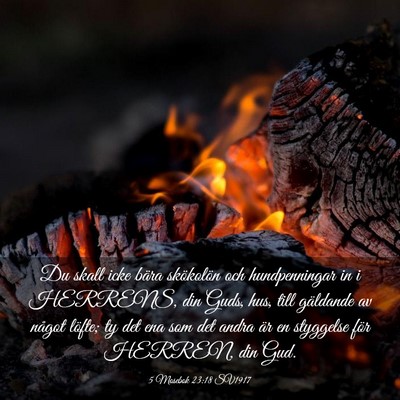 Picture 03 - 5 Mosebok 23:18 SV1917 - Du skall icke bära skökolön och hundpenningar - Bible Verse Picture