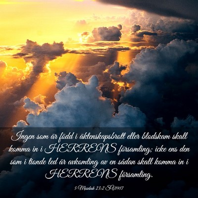Picture 03 - 5 Mosebok 23:2 SV1917 - Ingen som är född i äktenskapsbrott eller - Bible Verse Picture