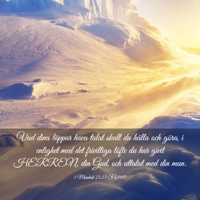 Picture 03 - 5 Mosebok 23:23 SV1917 - Vad dina läppar hava talat skall du hålla och - Bible Verse Picture