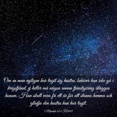 Picture 03 - 5 Mosebok 24:5 SV1917 - Om en man nyligen har tagit sig hustru, behöver - Bible Verse Picture