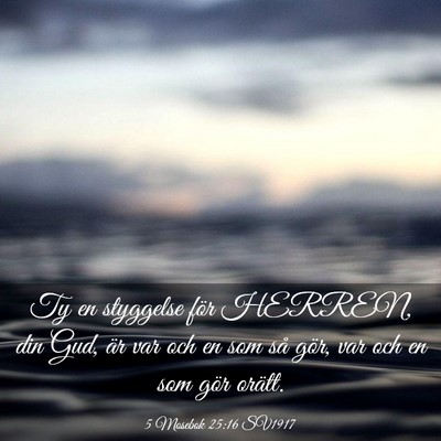 Picture 03 - 5 Mosebok 25:16 SV1917 - Ty en styggelse för HERREN, din Gud, är var och - Bible Verse Picture