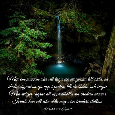 Picture 03 - 5 Mosebok 25:7 SV1917 - Men om mannen icke vill taga sin svägerska till - Bible Verse Picture