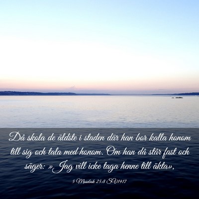 Picture 03 - 5 Mosebok 25:8 SV1917 - Då skola de äldste i staden där han bor kalla - Bible Verse Picture
