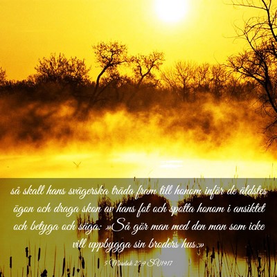 Picture 03 - 5 Mosebok 25:9 SV1917 - så skall hans svägerska träda fram till honom - Bible Verse Picture
