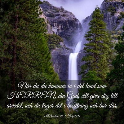 Picture 03 - 5 Mosebok 26:1 SV1917 - När du du kommer in i det land som HERREN, din - Bible Verse Picture