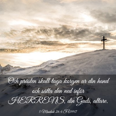Picture 03 - 5 Mosebok 26:4 SV1917 - Och prästen skall taga korgen ur din hand och - Bible Verse Picture