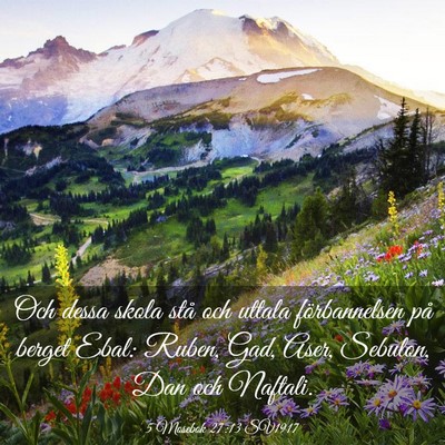 Picture 03 - 5 Mosebok 27:13 SV1917 - Och dessa skola stå och uttala förbannelsen på - Bible Verse Picture